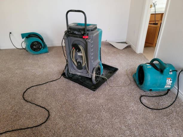  Surf City, NC Water damage restoration Pros