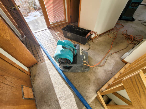Best Mold removal after water damage  in Surf City, NC