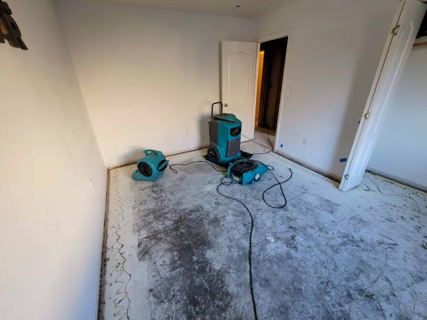 Best Water damage contractors near me  in Surf City, NC