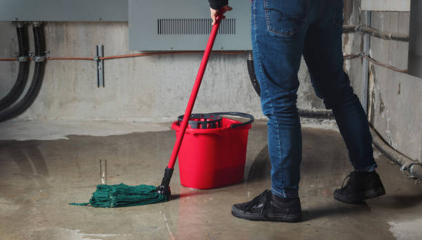 Best Local water damage restoration  in Surf City, NC
