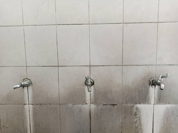 Best Water damage restoration near me  in Surf City, NC