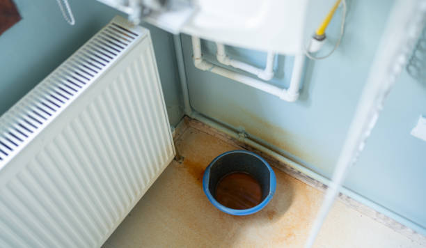 Best Professional water damage repair  in Surf City, NC
