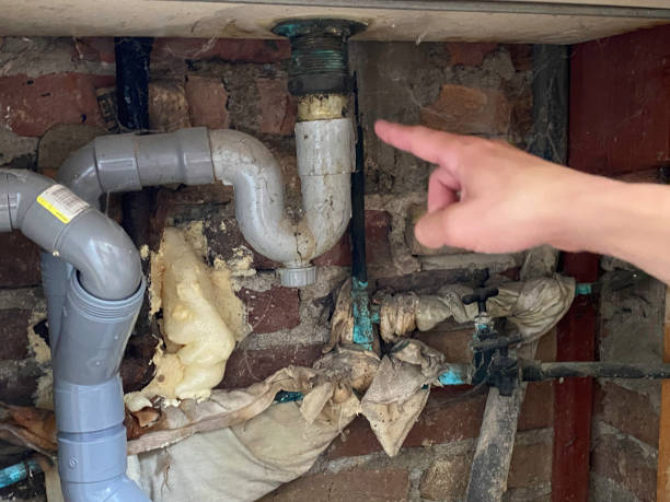 Best Professional water damage repair  in Surf City, NC