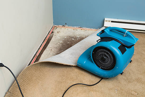 Best Carpet water damage restoration  in Surf City, NC